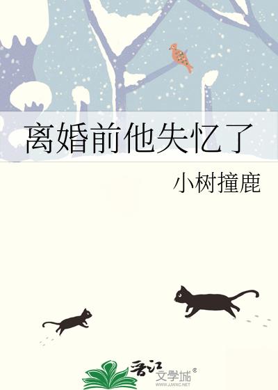 离婚前他失忆了